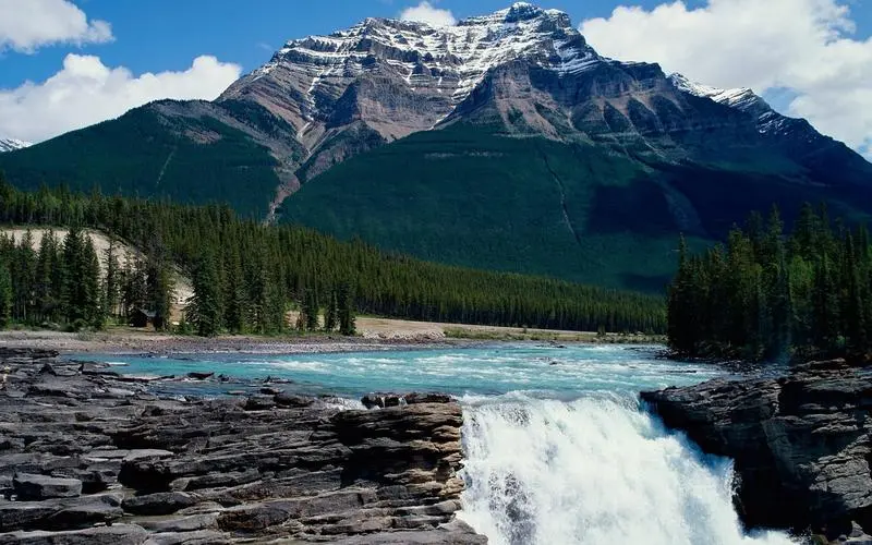 可靠性高标准智能系统